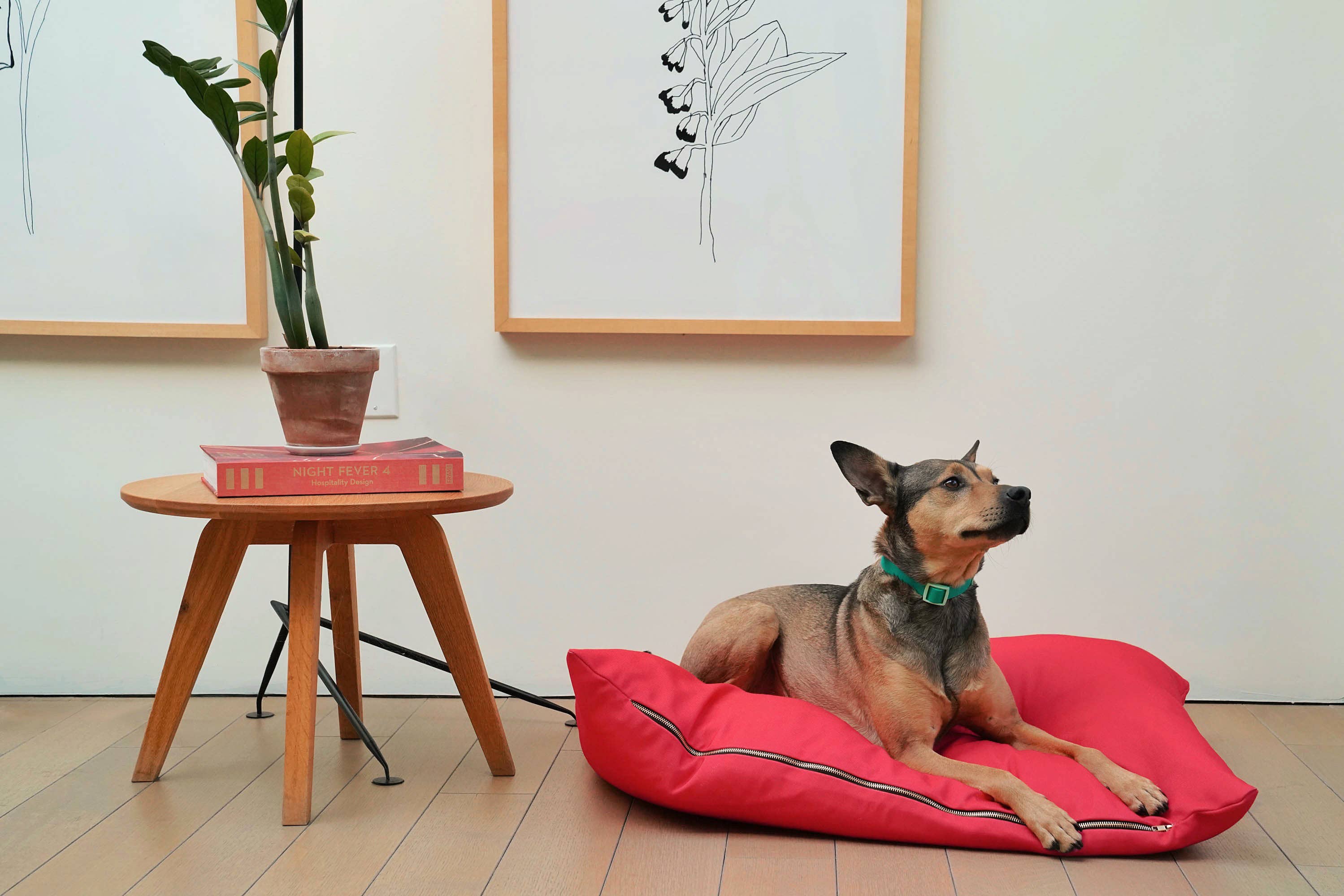 Approved by Fritz - The Fritz Dog Bed | Recycled | Machine Washable: Goalgetter / Standard