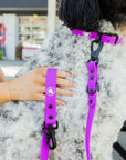 The Modern Dog Company - Electric Fuchsia Collar (Weather + Odor Resistant)