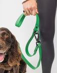 The Modern Dog Company - Clover Green Leash