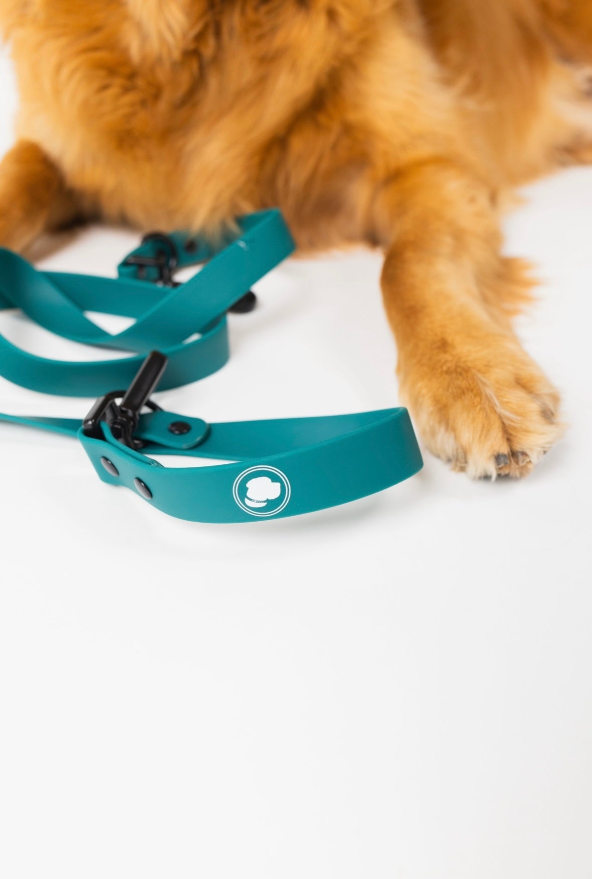 The Modern Dog Company - Forest Green Adjustable Leash