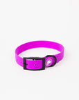 The Modern Dog Company - Electric Fuchsia Collar (Weather + Odor Resistant)