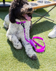 The Modern Dog Company - Electric Fuchsia Leash (Weather + Odor Resistant)