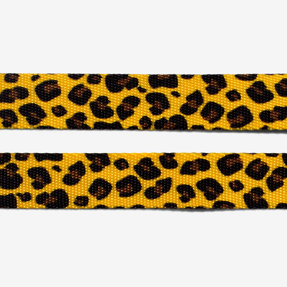 Zee.dog Cat Collar - Honey