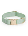 Shop Sunny Tails - Pistachio Green Waterproof Dog Collar