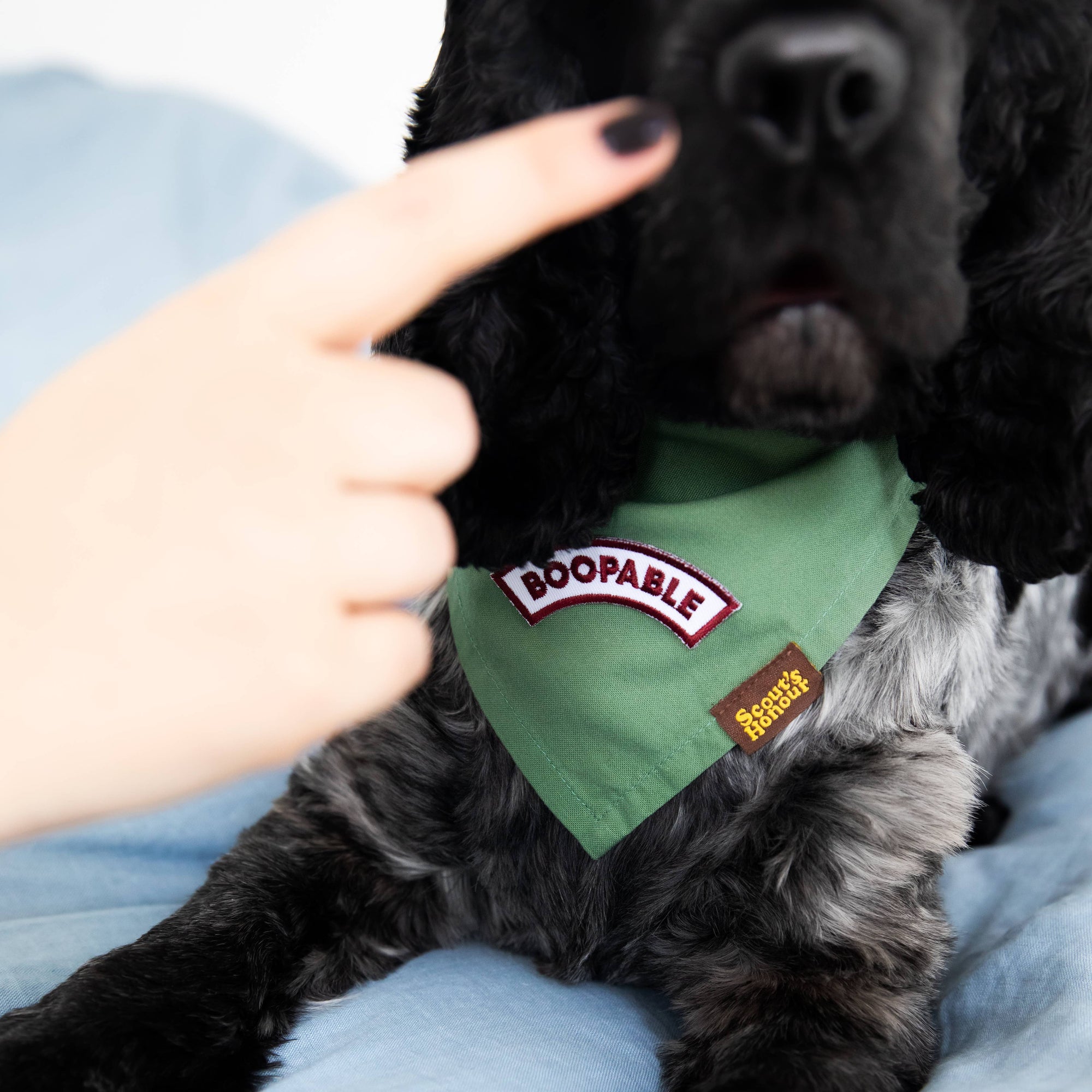 Scout&#39;s Honour - Boopable iron-on patch for dogs