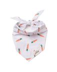 The Paws - Carrot Dog Bandana