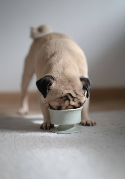 Lunoji - CHEWDEN Trove - Frozen Treat Holder