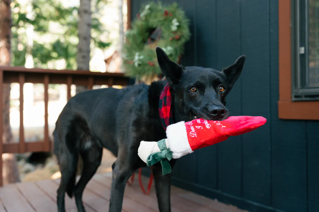 Merry Woofmas - Good Dog Stocking